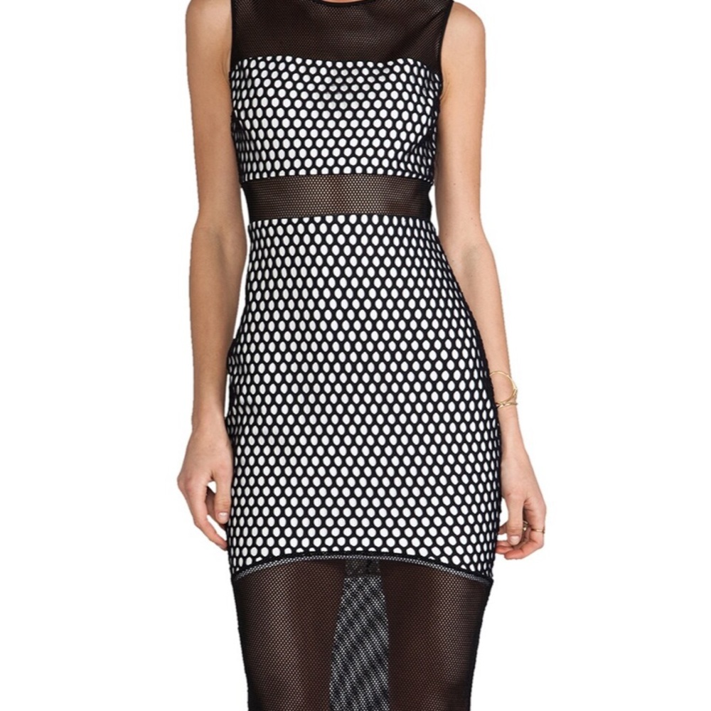 Elizabeth and James size 2 mesh dress